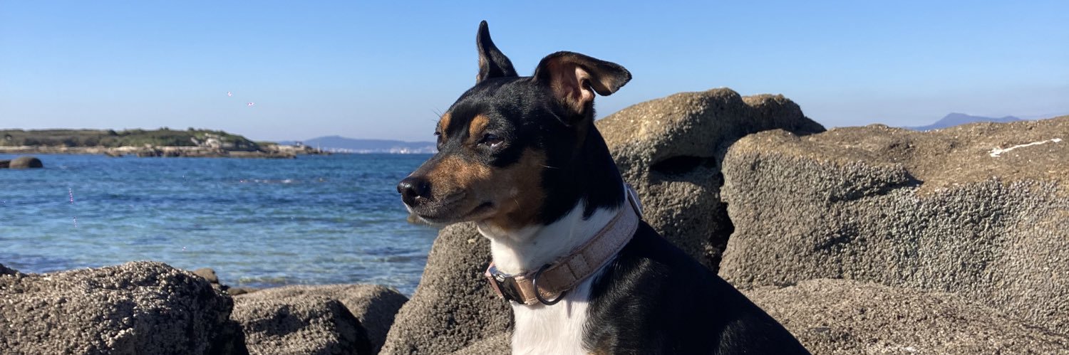 neream98's profile banner image