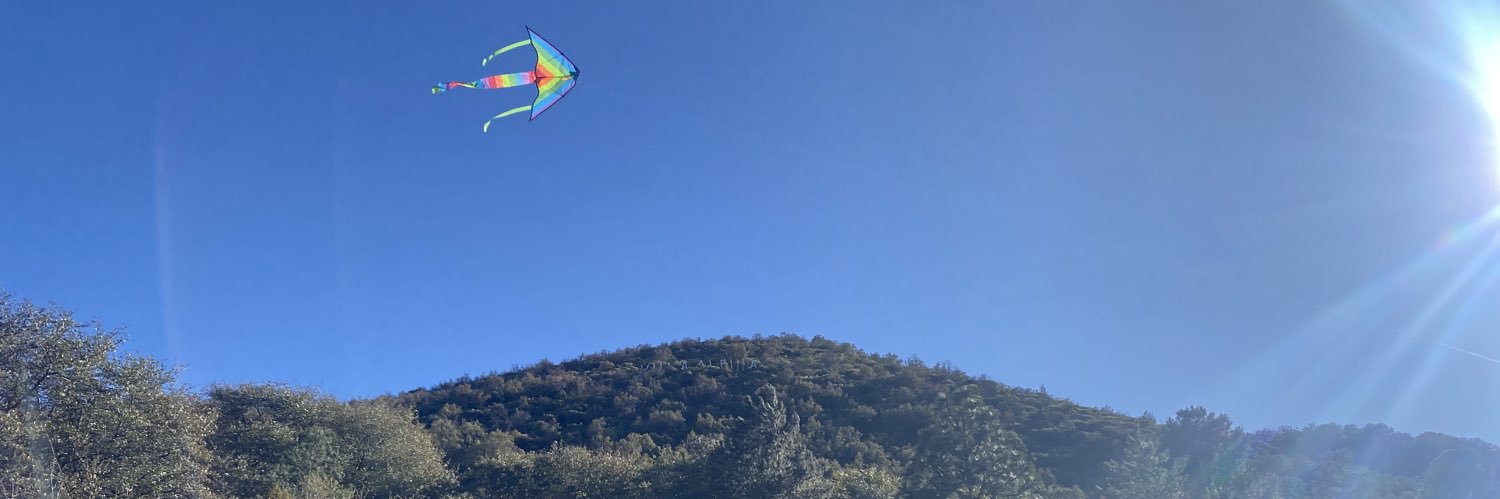 Aleeckor's profile banner image