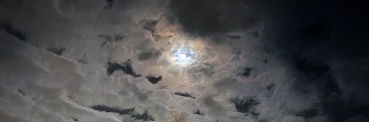 نـادر الطـويلعي🇸🇦. banner