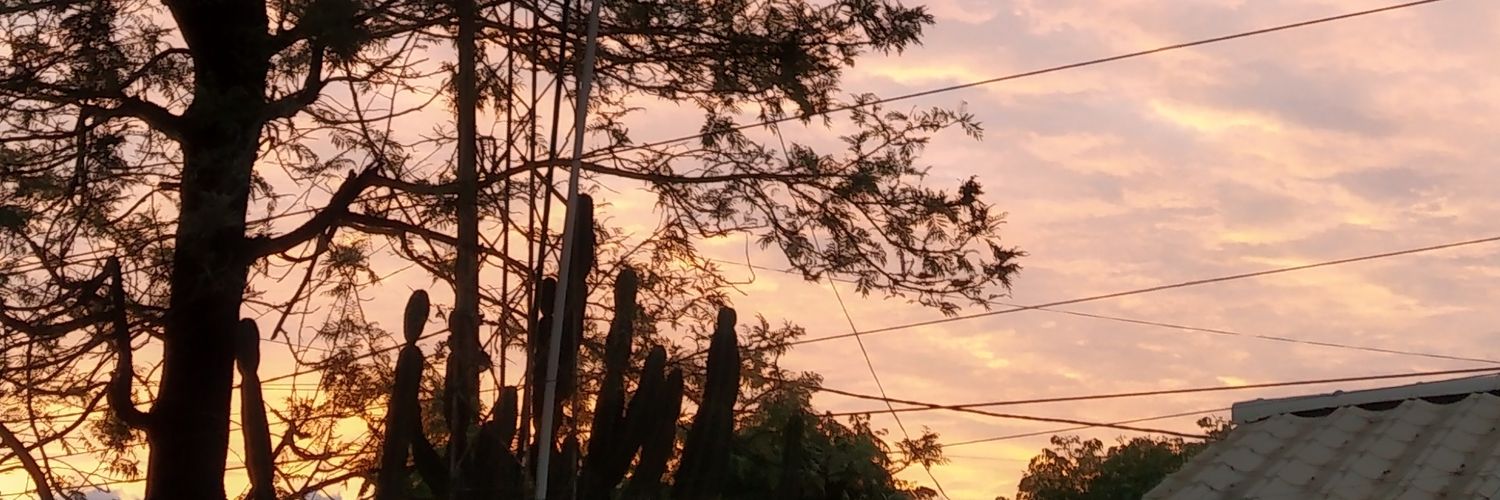 debora_denice's profile banner image