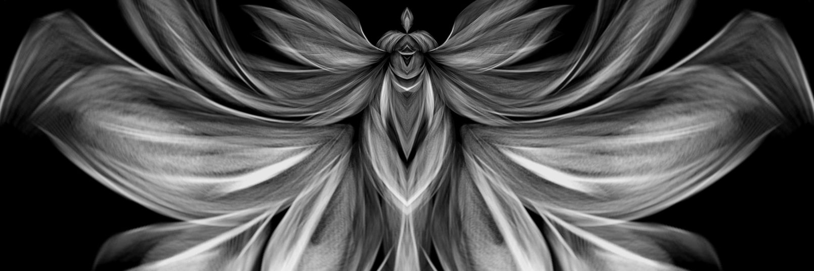 Stephanie L Schmidt banner