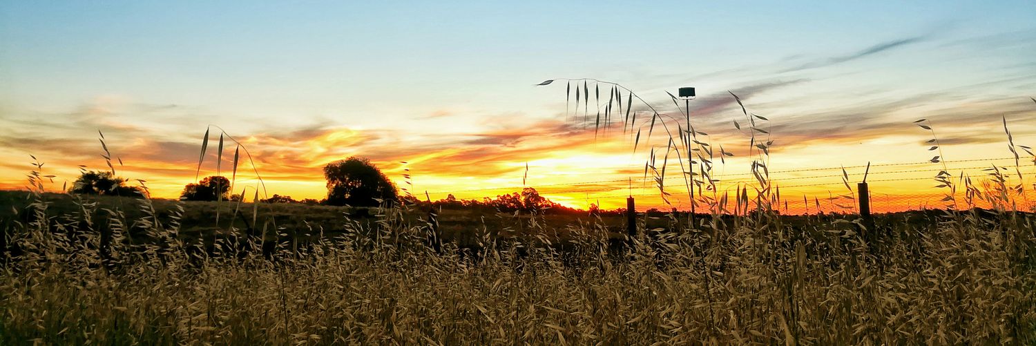 emanuelmaciel5's profile banner image
