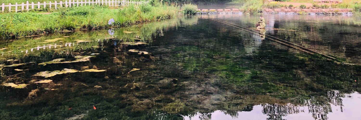 ꧁IP꧂madison baldwin.hft♦️ banner