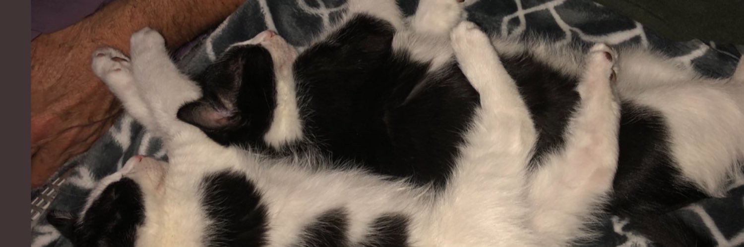 b3dazzl3d❤️ banner