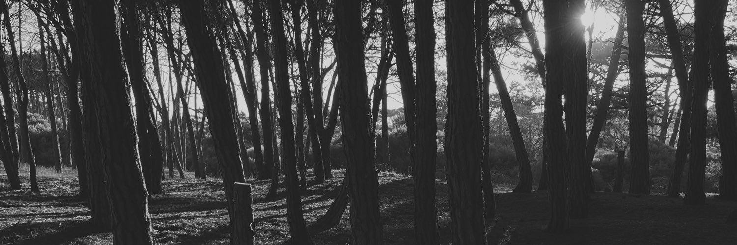 D0omGuyy's profile banner image