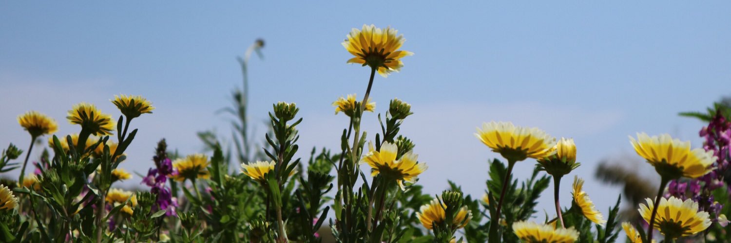 861_nyo's profile banner image