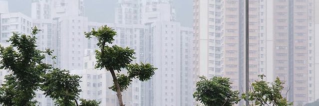 thecindyxu's profile banner image