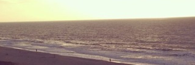 JRBBostic's profile banner image