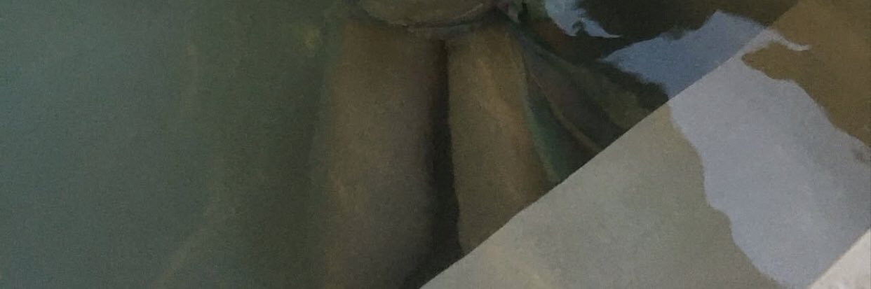 Sejinning's profile banner image