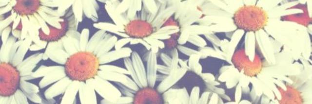 alishap614's profile banner image