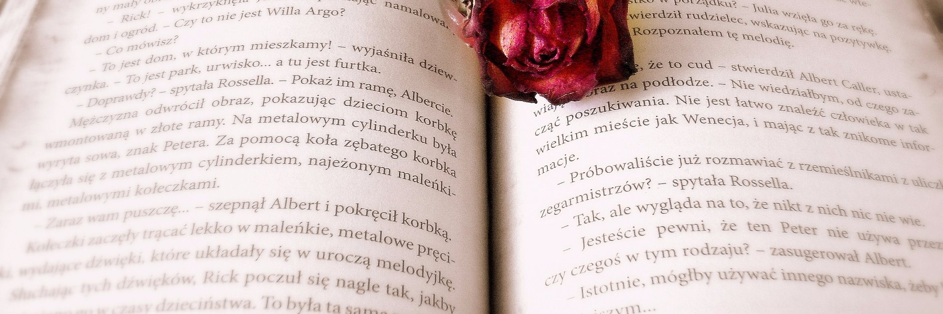creamrosa's profile banner image