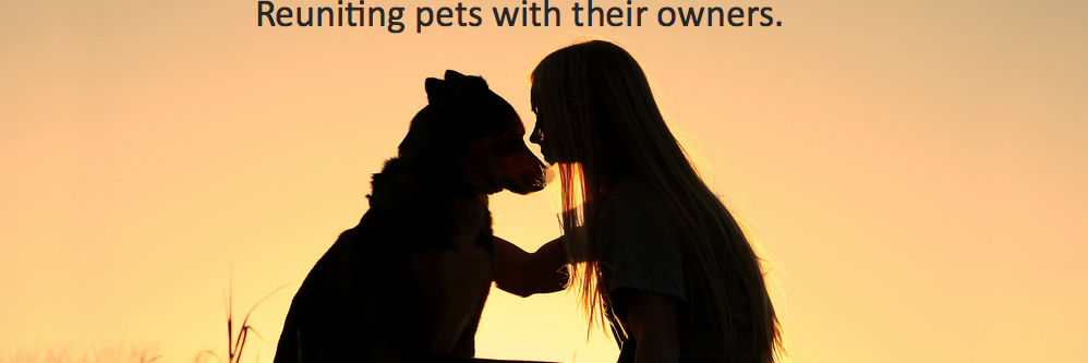lostpetfinders's profile banner image