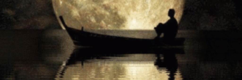 Bittern1's profile banner image