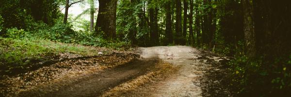 PreciselyAlyss Profile Banner