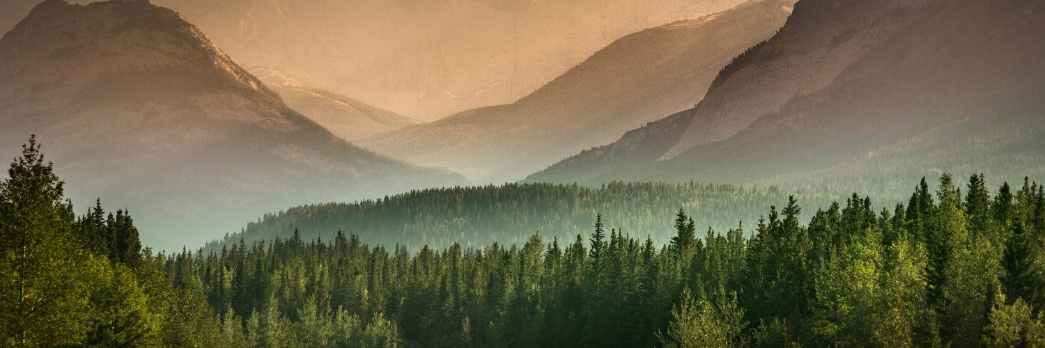 CGWM_DHG's profile banner image