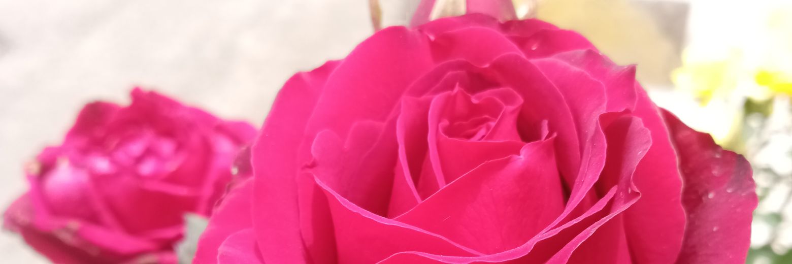 LulukaspA's profile banner image
