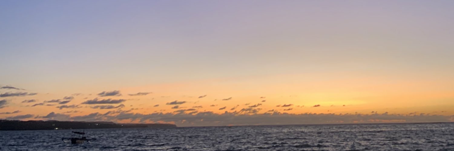 lazy dog banner