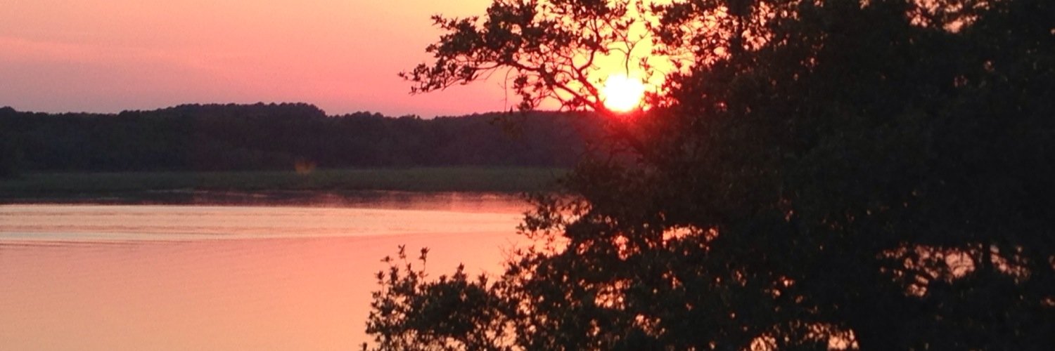 gocubsgo.algo banner