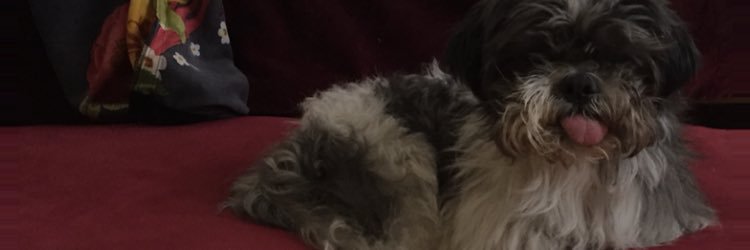 NannSam's profile banner image