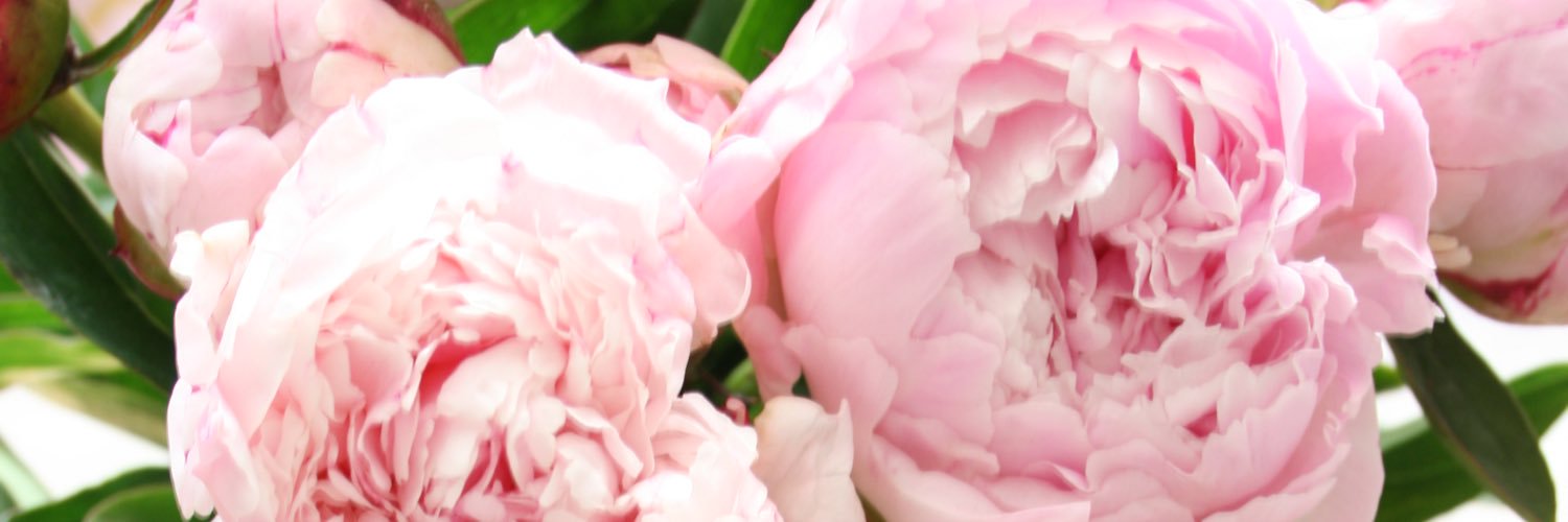jordan. banner