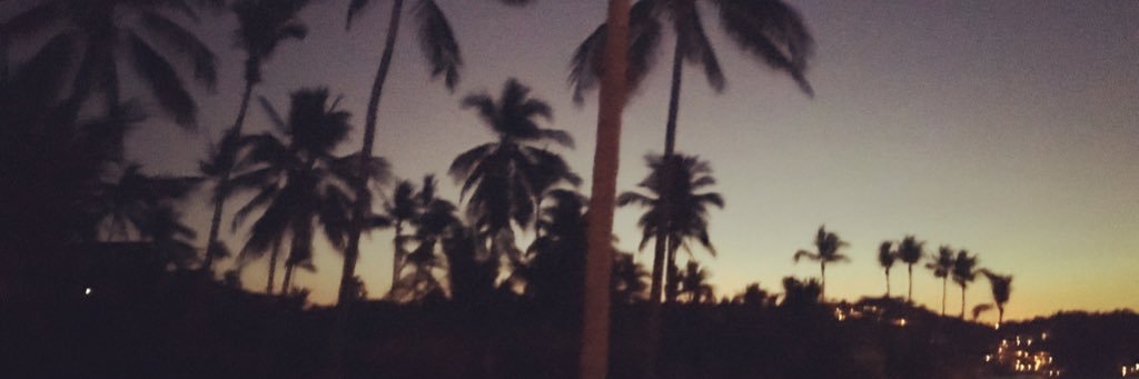 AniGlez01's profile banner image