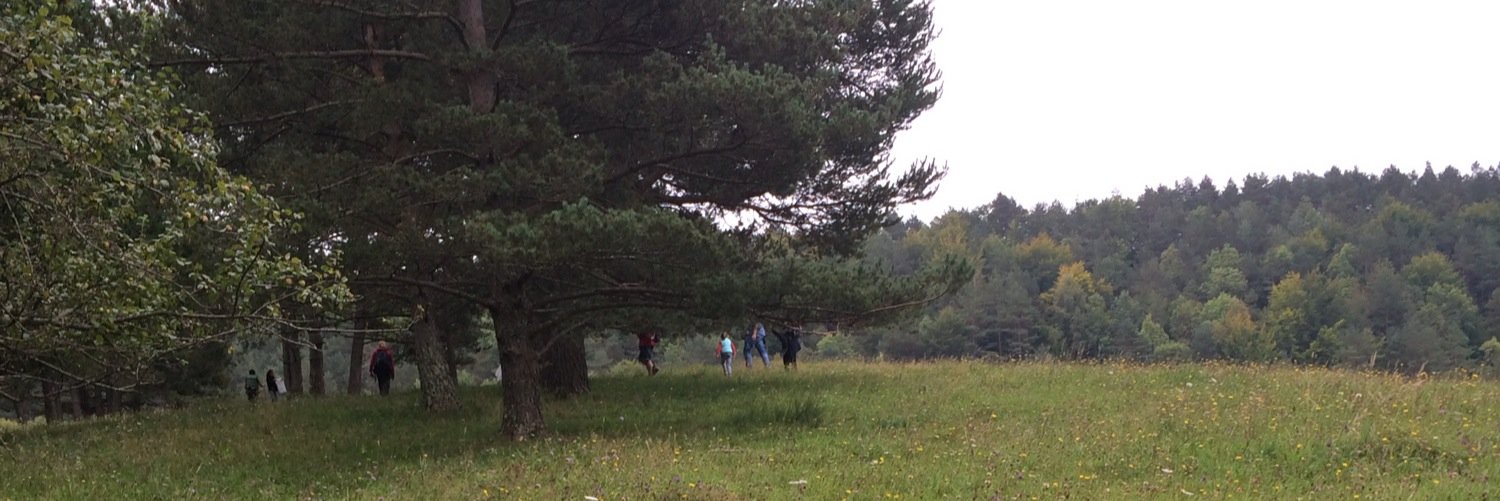 mireia_eia's profile banner image