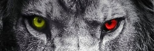 medetsen's profile banner image