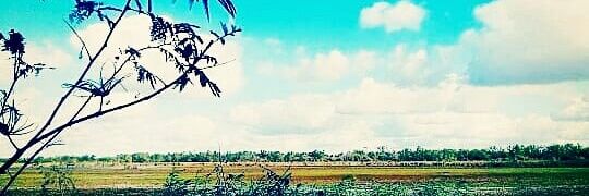 agustin banner
