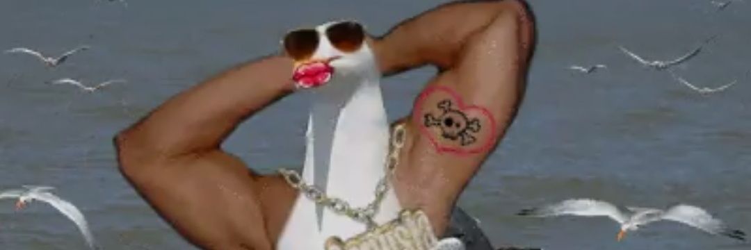 mouetscred2's profile banner image