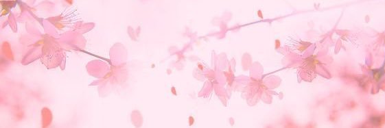 geehappy1's profile banner image