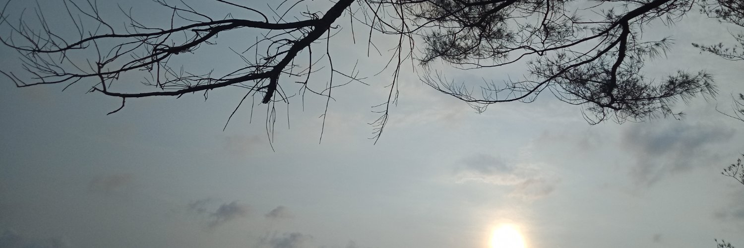LiaAsprilla's profile banner image