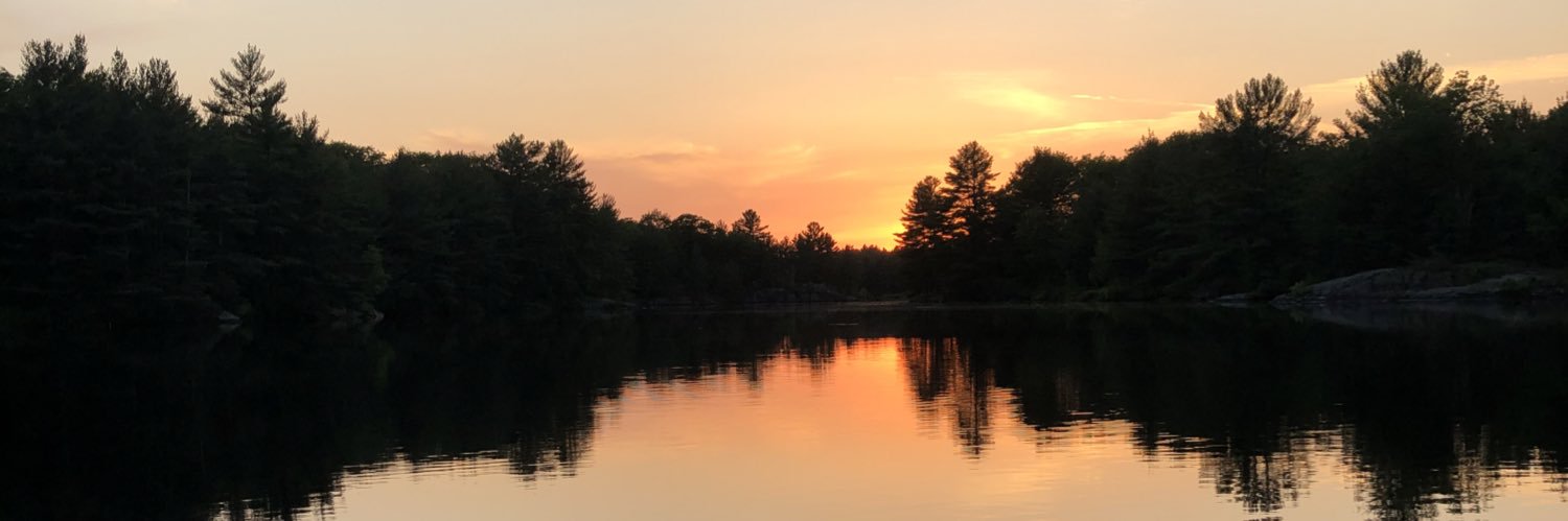 morgmcdonnell's profile banner image