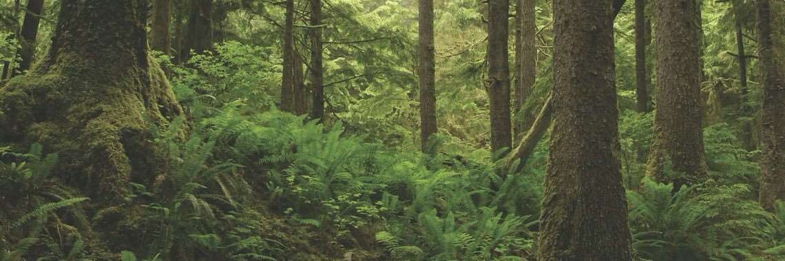 Man banner