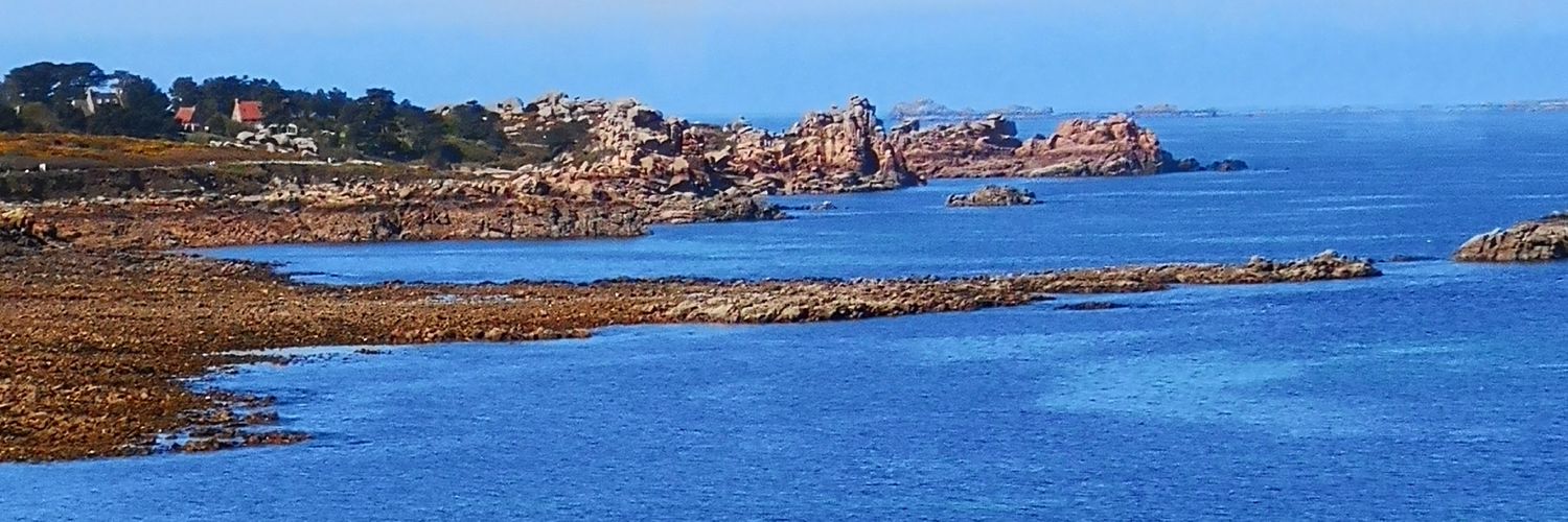LMazabraud's profile banner image