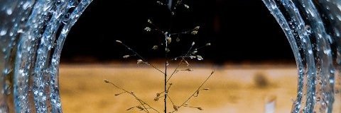 #BuildWithWealth banner