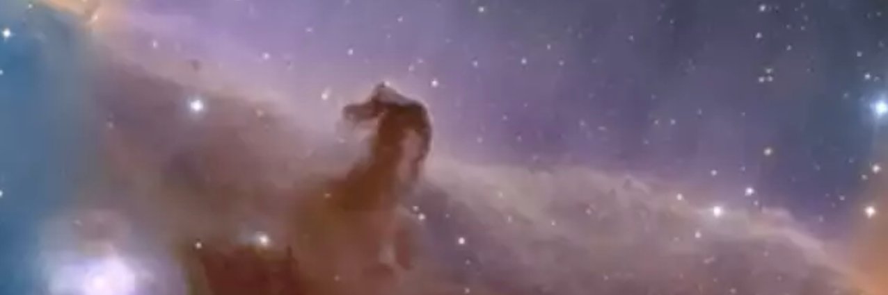 LibbyChamps's profile banner image