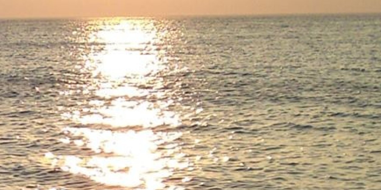 SofiaSic2001's profile banner image