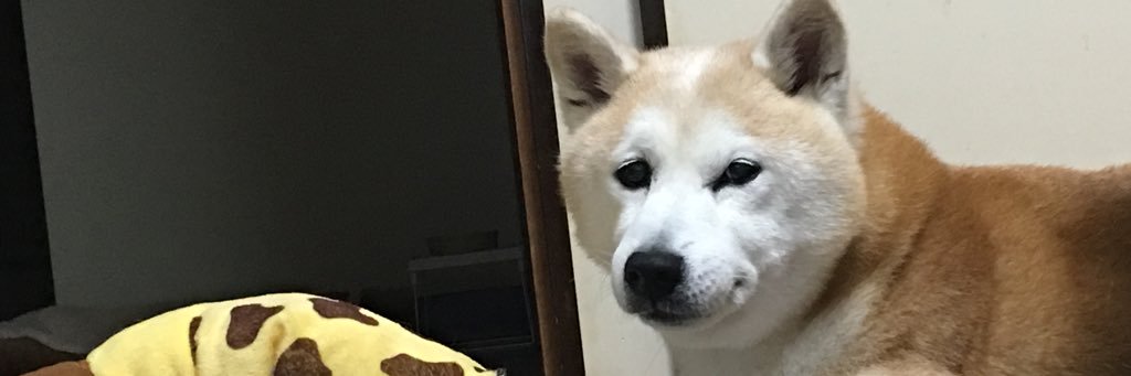 _chan81's profile banner image