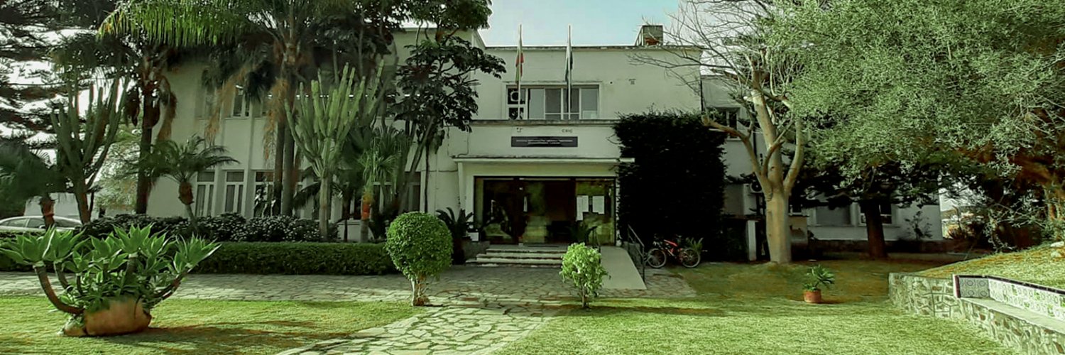 IHSM La Mayora's banner