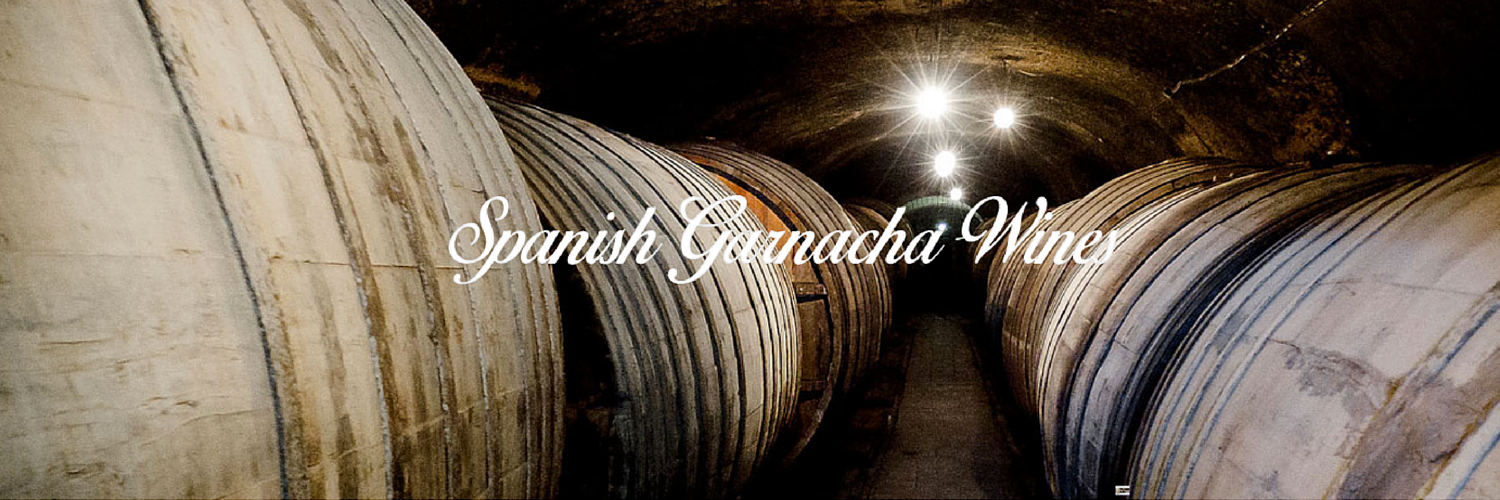 Bodegas Ruberte banner