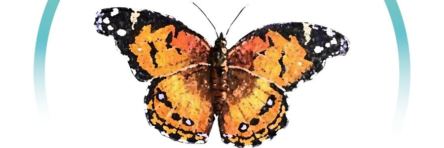 esgm79's profile banner image