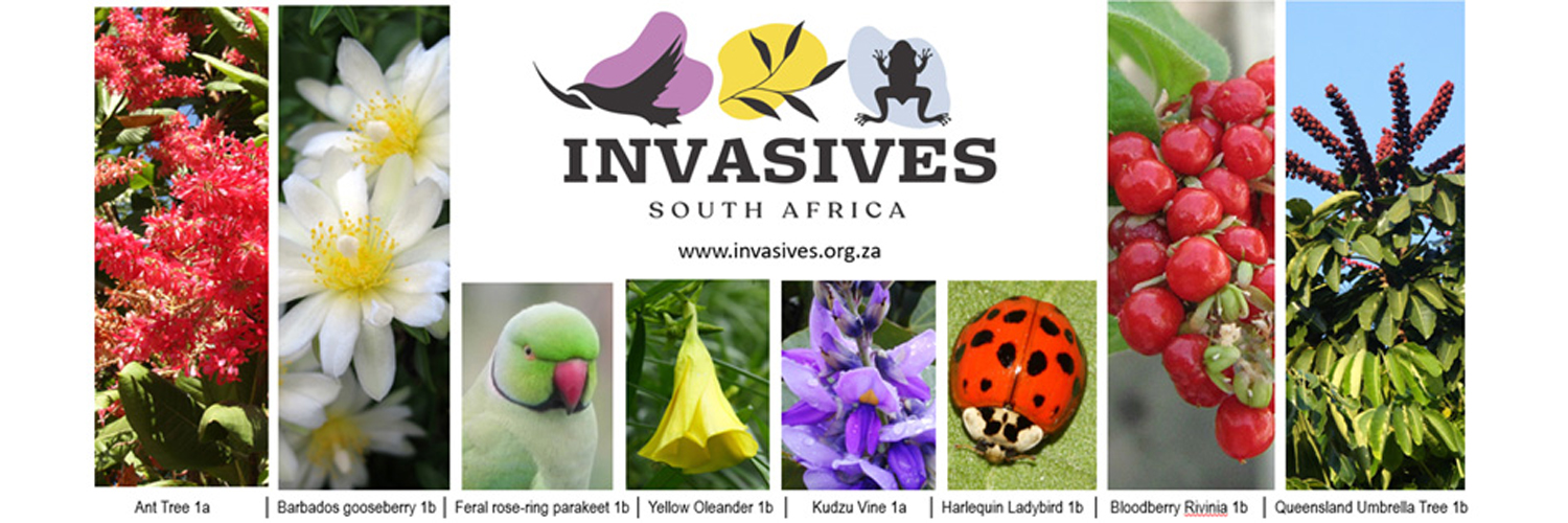 Invasives ZA banner