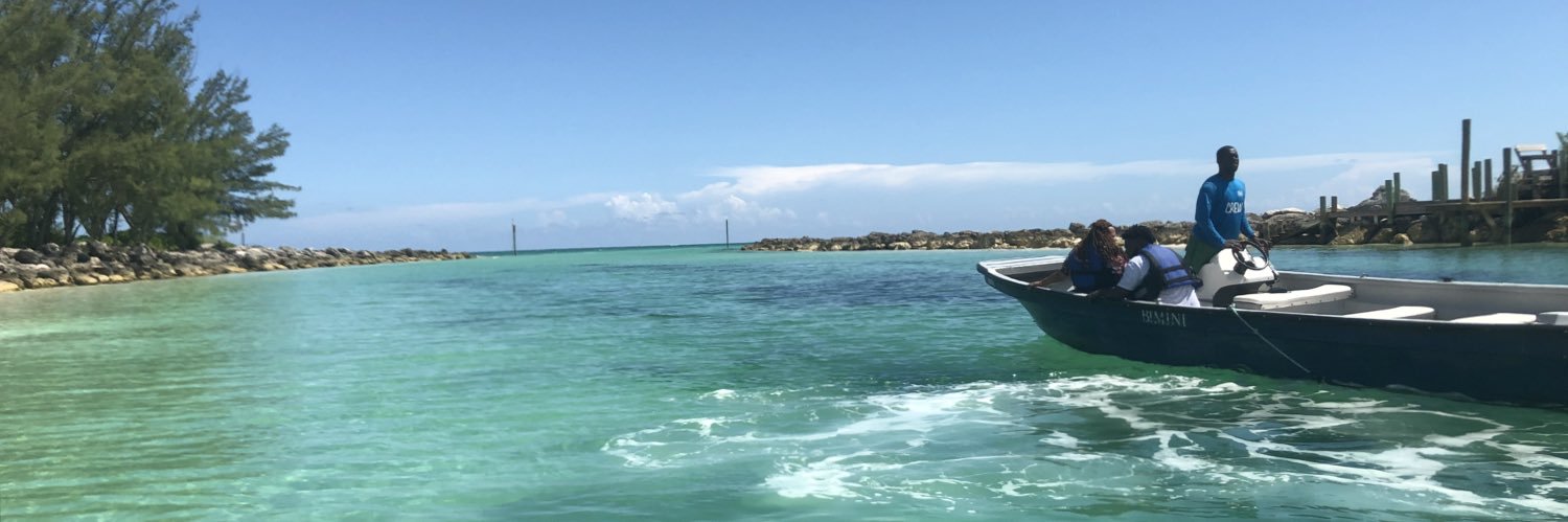 vickystar31's profile banner image
