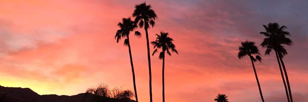 immeredithyo's profile banner image