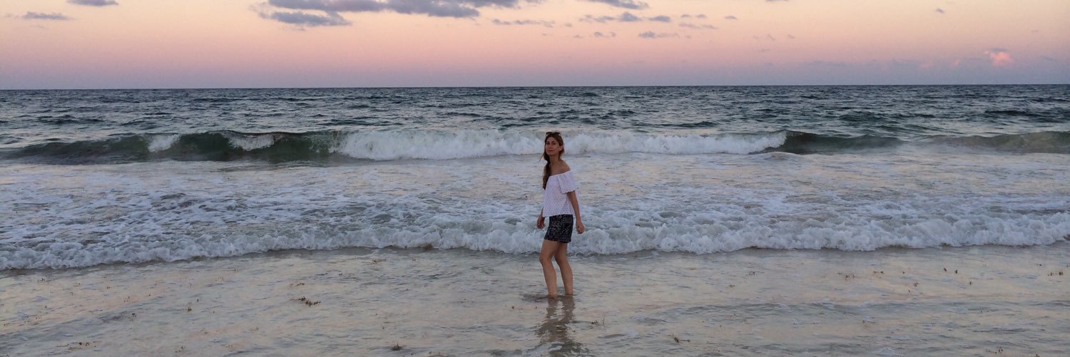 sarilampert's profile banner image