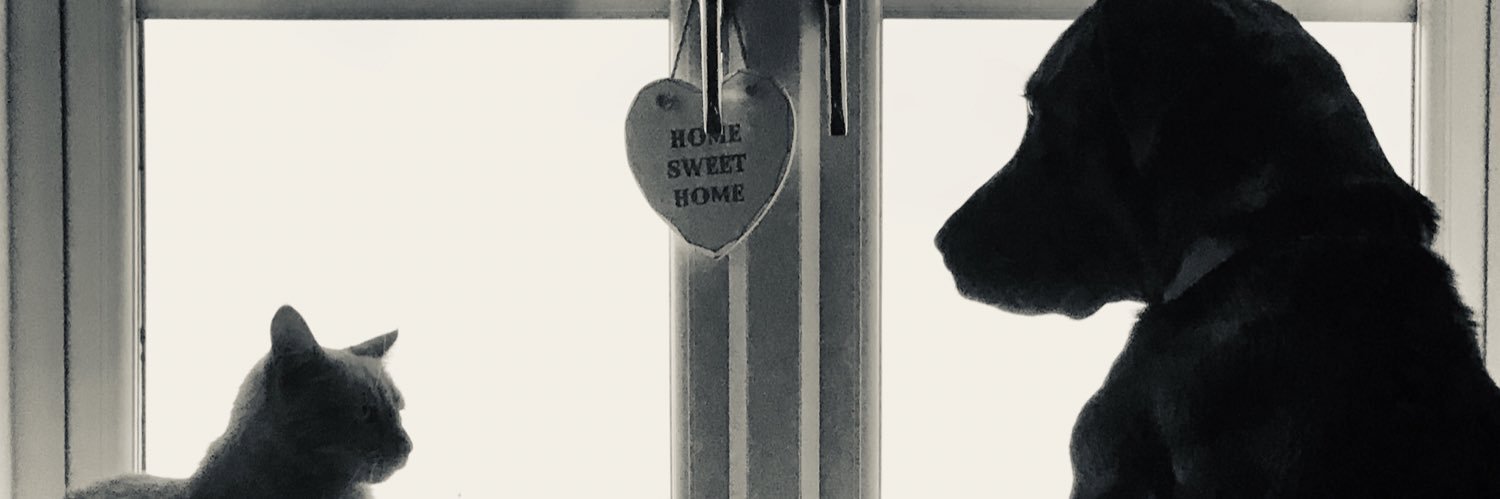 Carla Linford banner