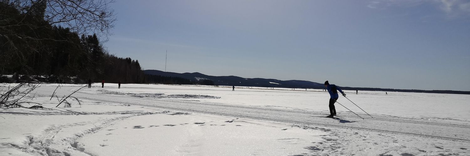 Anna-Reetta Korhonen banner