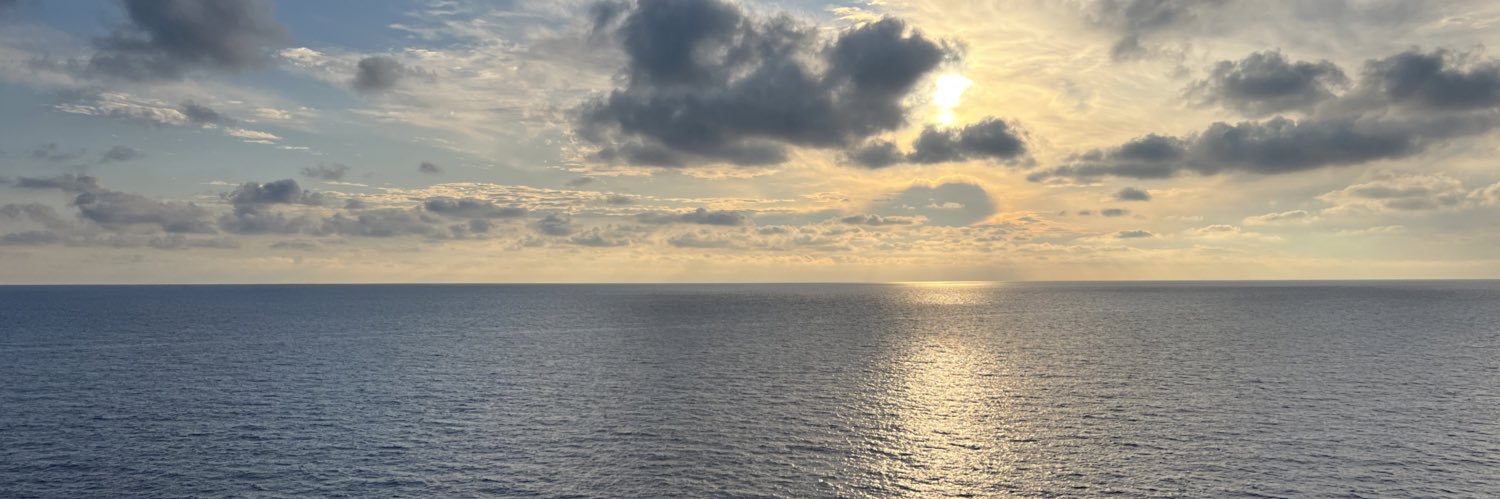 sguzmanpinto's profile banner image