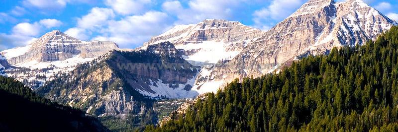 Patrick Oborn banner