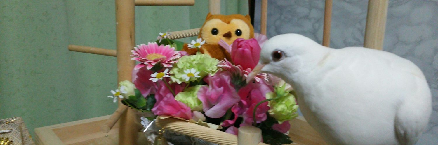4400sei's profile banner image